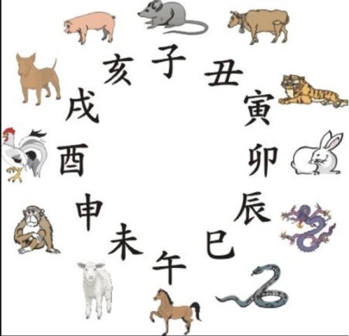 晚上生肖是什么生肖的全面释义、解释与落实